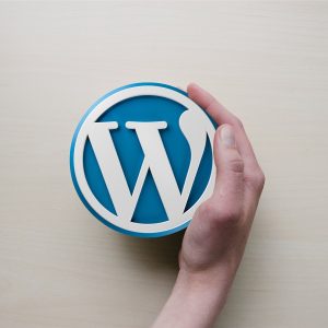 WordPress Website Setup & Basic Maintenance